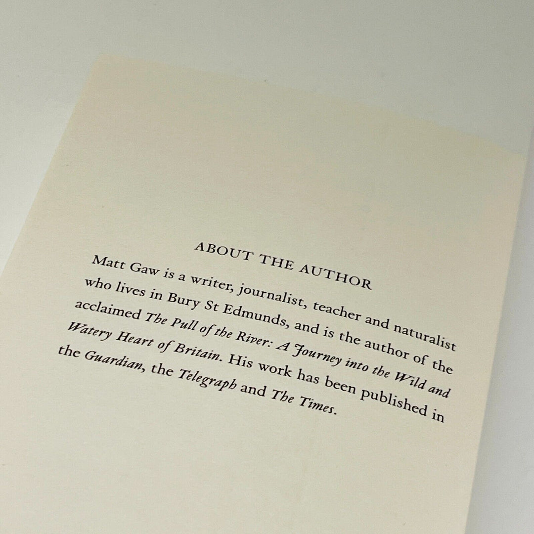 Under The Stars: A Journey into Light • Matt Gaw