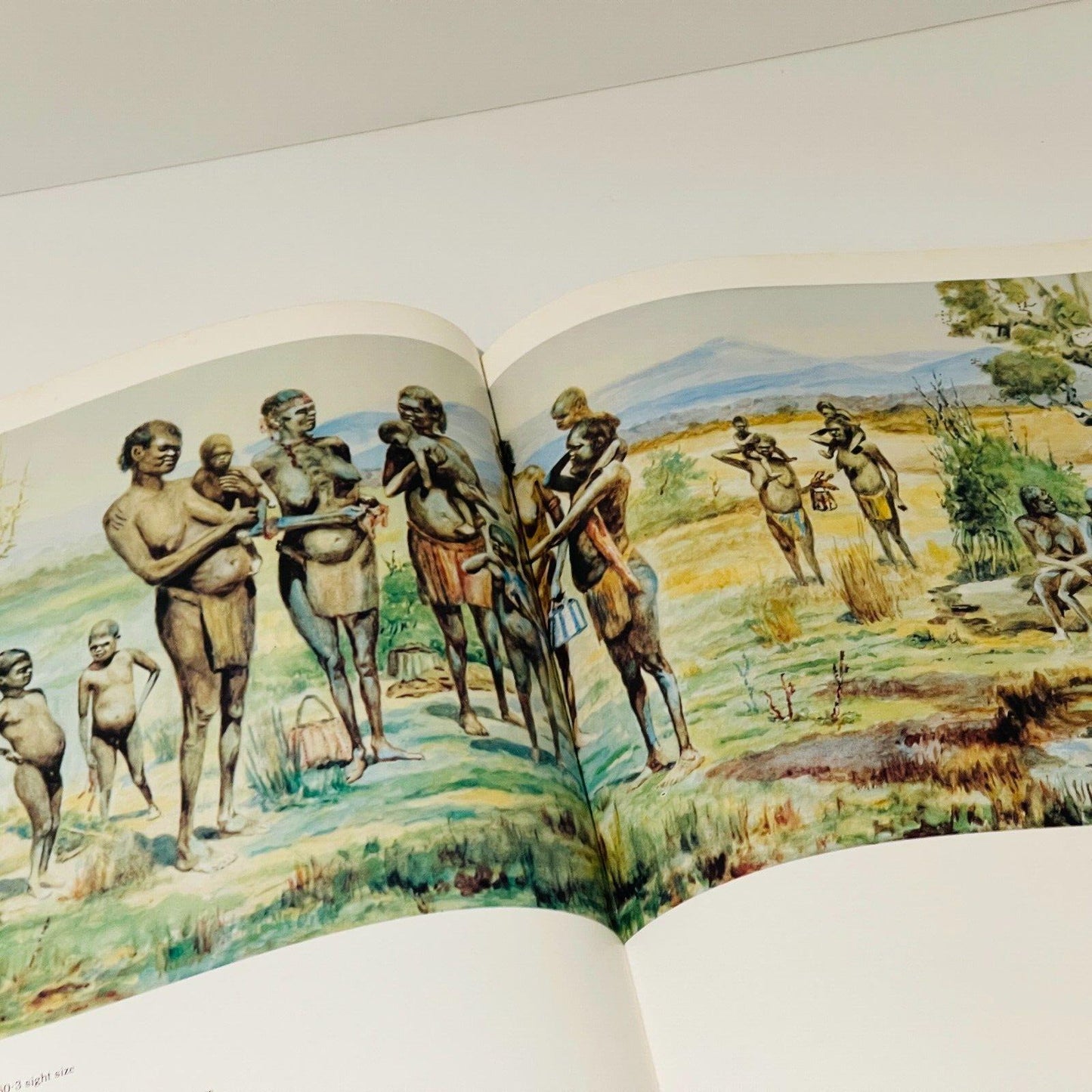 A Treasury of Australian Art