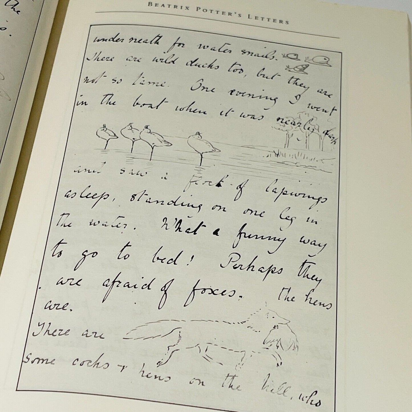 Beatrix Potter's Letters