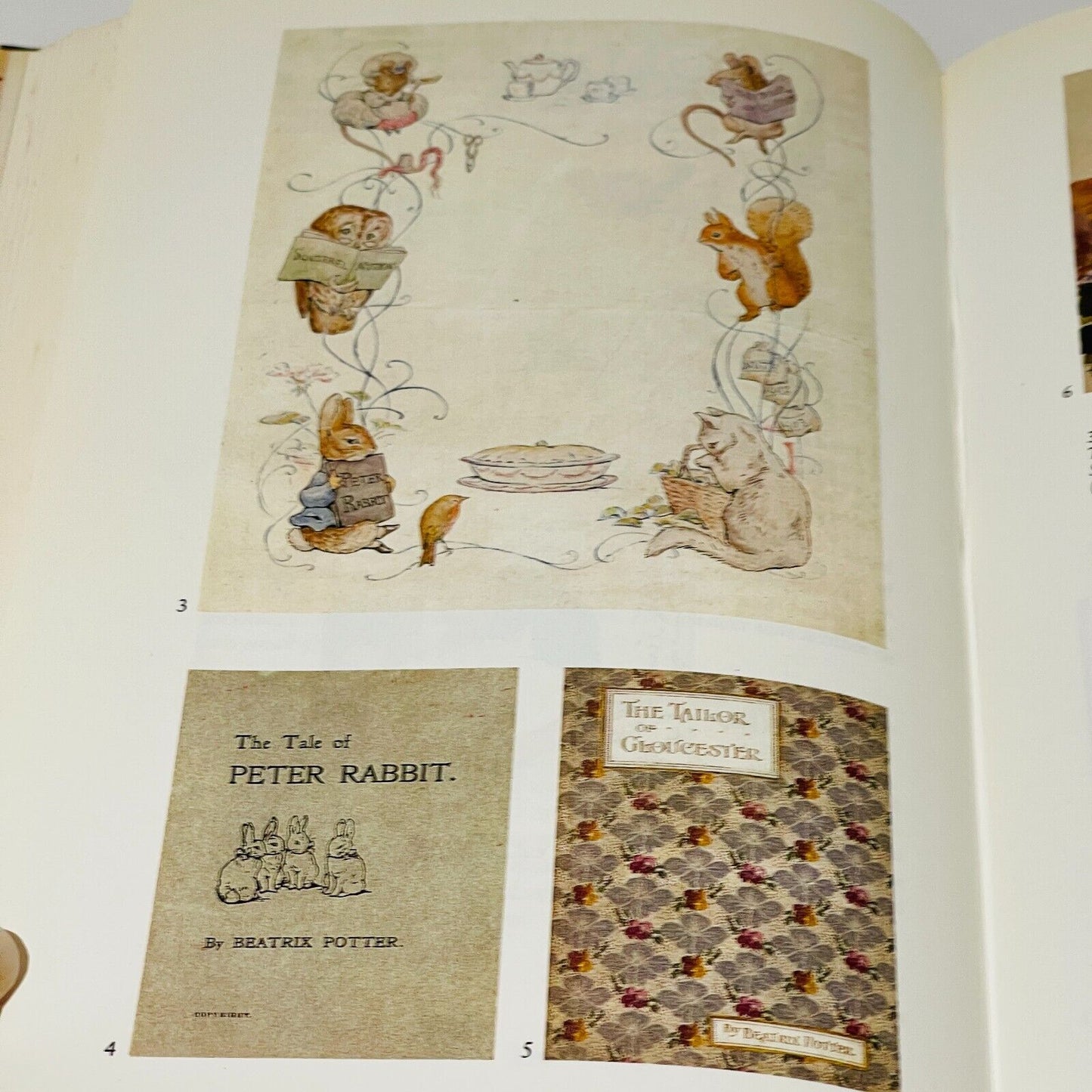 Beatrix Potter's Letters