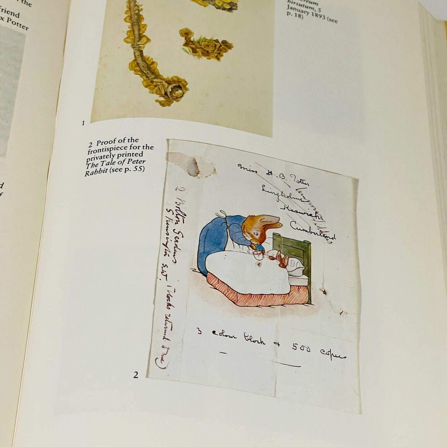 Beatrix Potter's Letters