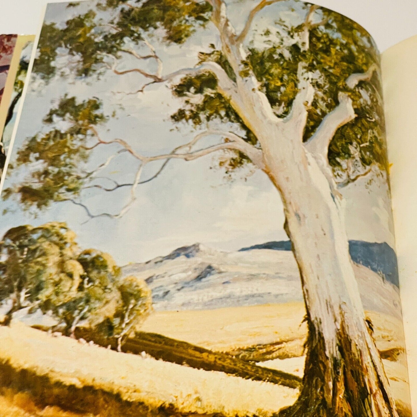 Australian Landscapes in Colour