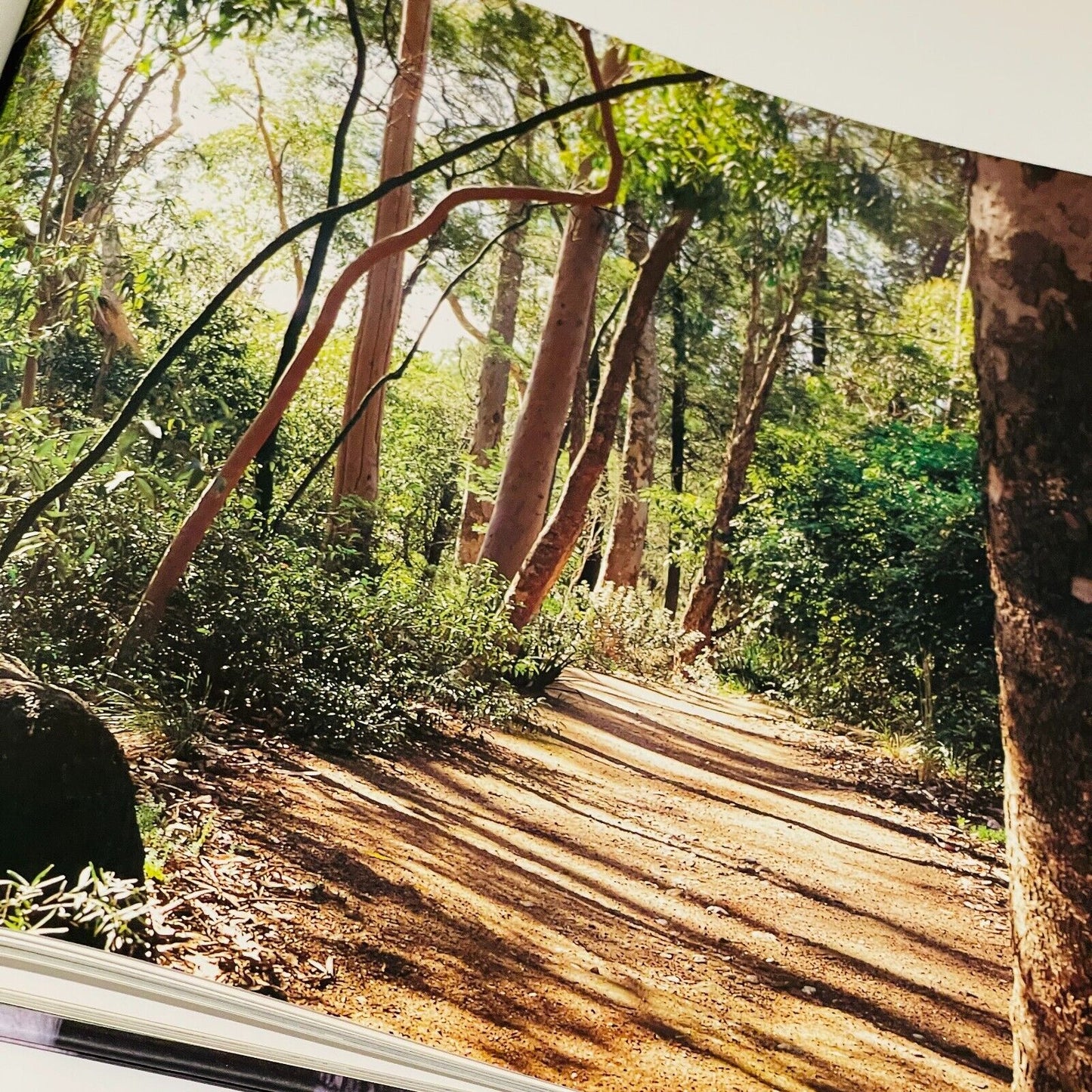 Gordon Ford The Natural Australian Garden