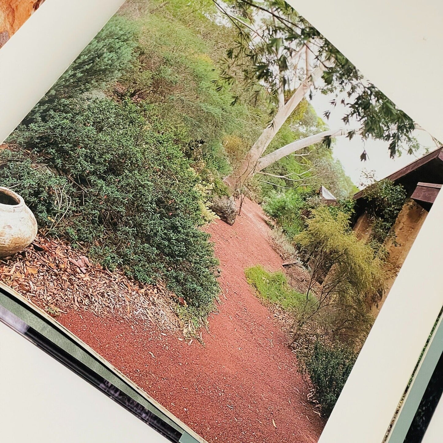 Gordon Ford The Natural Australian Garden