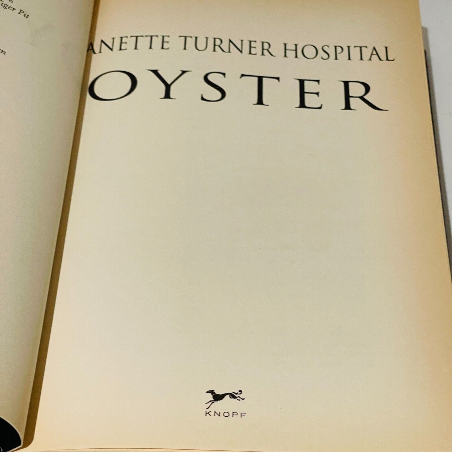 Janette Turner Hospital Fiction Bundle