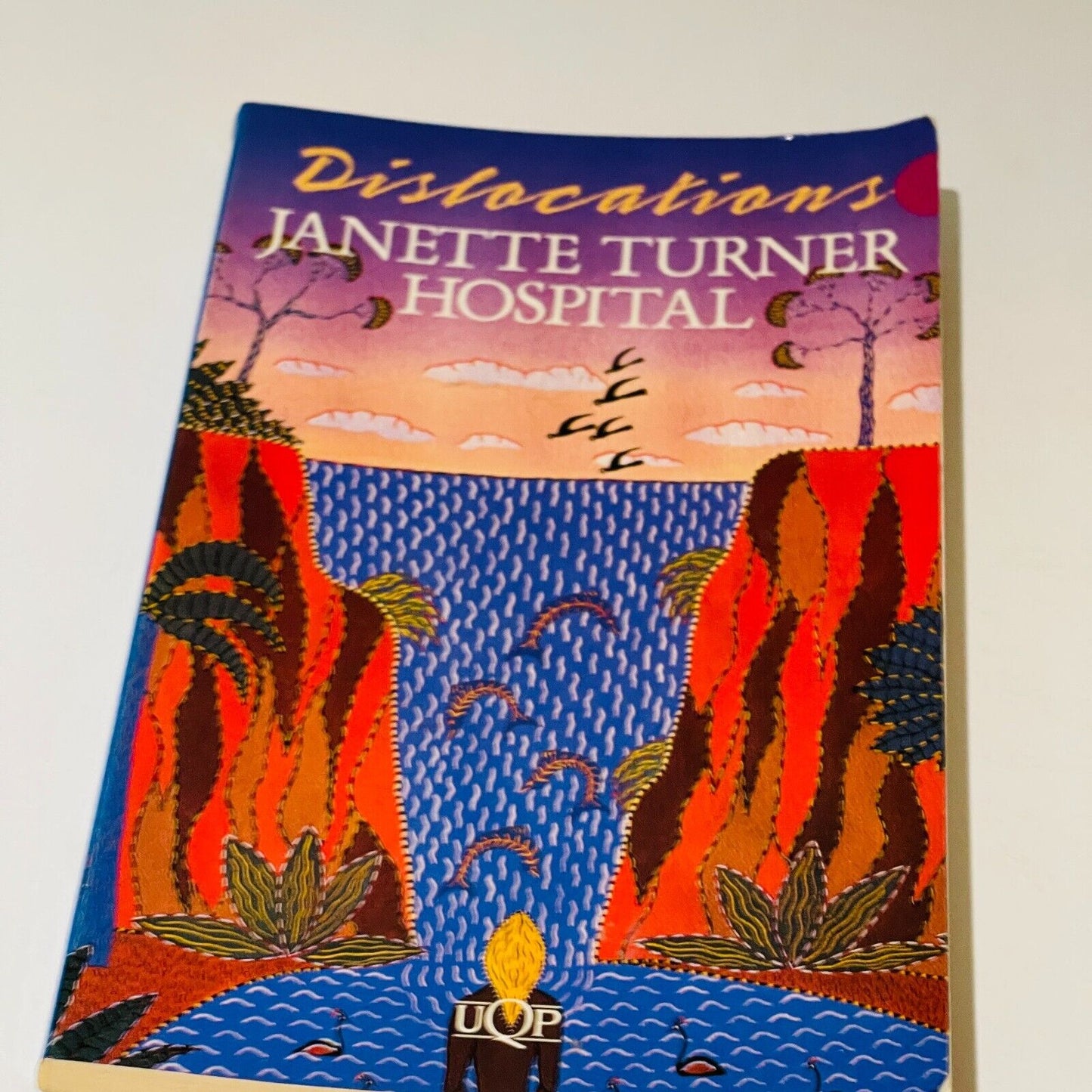 Janette Turner Hospital Fiction Bundle